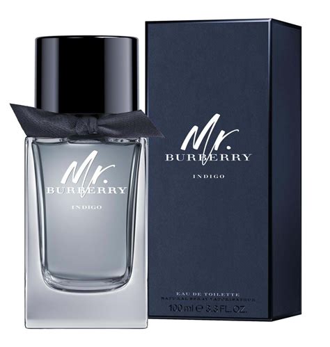 burberry indigo perfume review|Burberry indigo cologne for men.